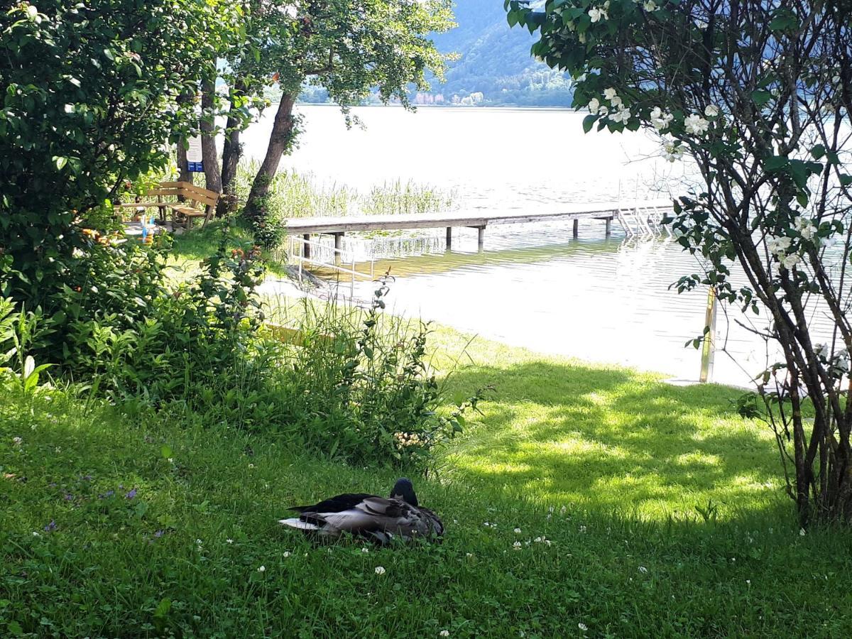 Maren Seeblick Appartement Haus Haensel&Gretel Direkt Am Ossiacher See Mit Hallenbad Stiegl Eksteriør billede